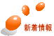 shin